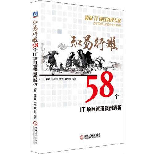 知易行难:58个IT项目管理案例解析