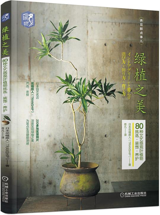 绿植之美:80种文艺感观叶植物挑选 装饰 养护