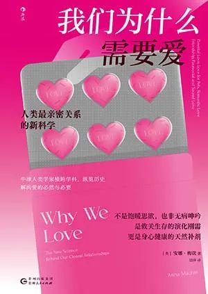 我们为什么需要爱