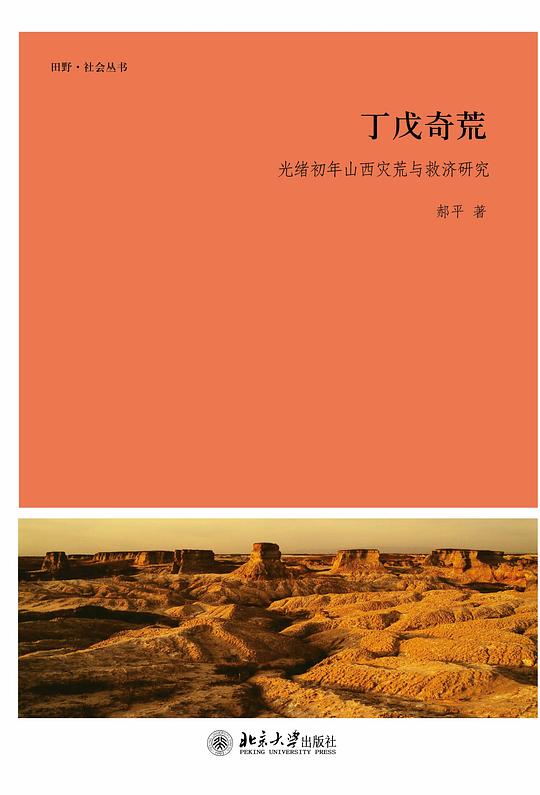 丁戊奇荒