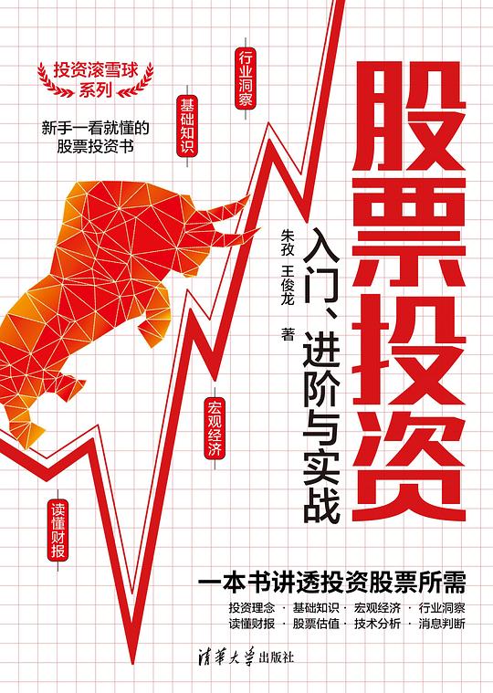股票投资入门、进阶与实战(投资滚雪球系列)