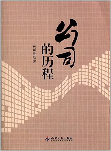 公司的历程