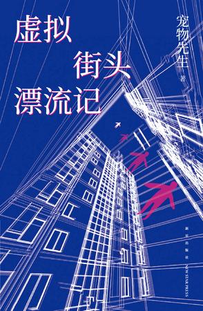 虚拟街头漂流记(午夜文库)