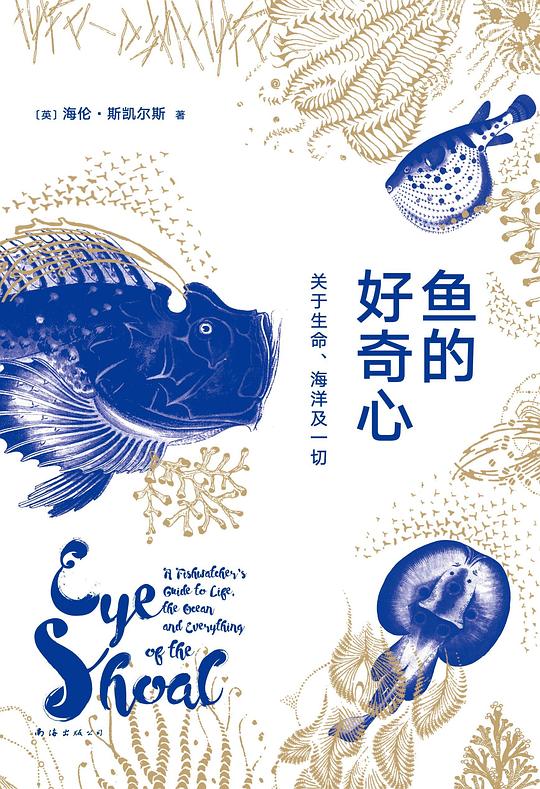 鱼的好奇心