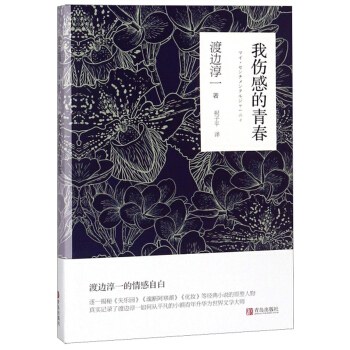 我伤感的青春