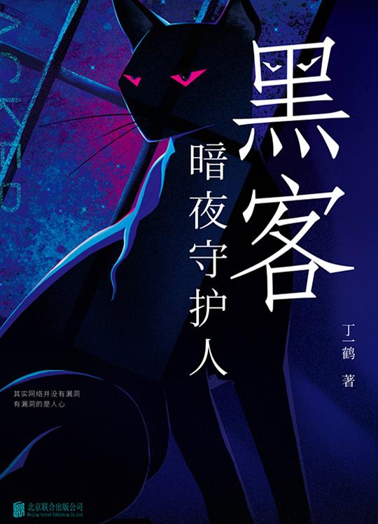 黑客:暗夜守护人