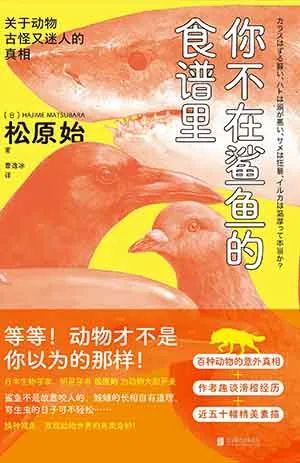 你不在鲨鱼的食谱里