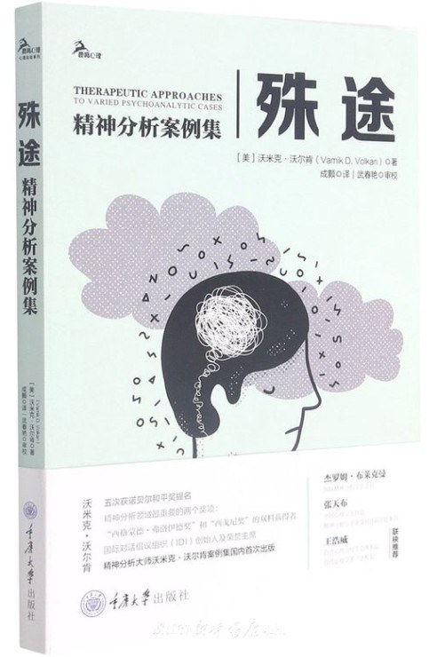 殊途:精神分析案例集