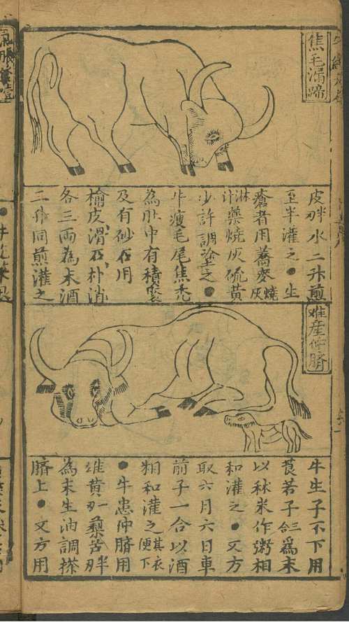 新刻针医参补马经大全