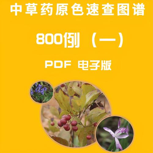 中草药原色图谱800例