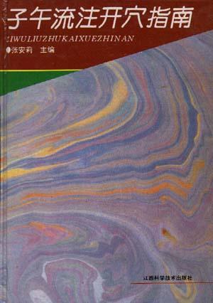 子午流注开穴指南