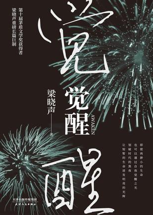 觉醒(2020年精装版)
