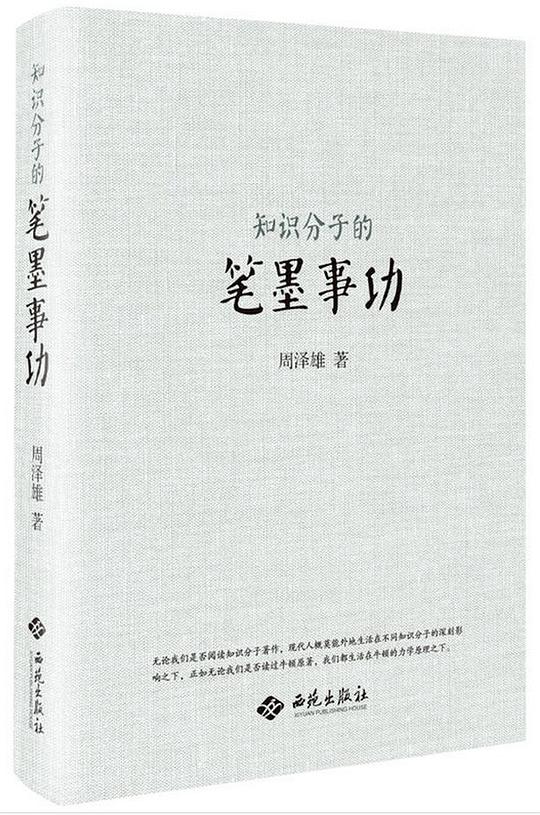 知识分子的笔墨事功