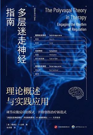 多层迷走神经指南