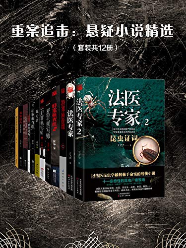 重案追击:悬疑小说精选(套装共12册)